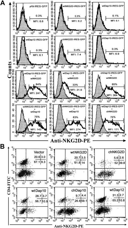 Figure 2. chNKG2D and chDap10 molecules express as efficiently as their wild-type counterparts on cell surface. (A) NKG2D expression on Bosc23 cells was evaluated 24 hours after transfection by combination of plasmids containing NKG2D and adaptor genes. Surface expression of NKG2D was determined on the gated GFP+ population using the PE-conjugated anti-NKG2D Ab (unshaded region). Isotype controls are shown in shaded region. The percentage of NKG2D+ cells is indicated. (B) NKG2D expression on B6 T cells 7 days after transduction. NKG2D expression was measured using anti-NKG2D mAbs in combination with anti-CD4 and anti-CD3 mAbs. More than 97% cells are CD3+ T cells (data not shown). CD4– T cells are CD8+ T cells. The dot plots shown were all gated on CD3+ cells. The percentage of cells in each quadrant is indicated. The data are a representative of 6 similar experiments.