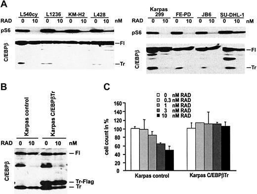 Figure 4. Constitutive ectopic expression of truncated C/EBPβ renders ALCL cells resistent to RAD-mediated inhibition of proliferation. (A, left) Down-regulation of the mTOR target gene, ribosomal S6 protein, was demonstrated after treatment of cell lines with 0 nM to 10 nM RAD for 96 hours. (Right) Endogenous expression of C/EBPβ protein isoforms was determined in HL and ALCL cells, which were treated with 0 nM to 10 nM RAD for 96 hours. Fl indicates full-length isoform; Tr, truncated isoform. (B) Flag-tagged truncated C/EBPβ was ectopically expressed in Karpas 299 cells by retroviral transduction. Ectopic and endogenous expression of C/EBPβ protein isoforms was analyzed by immunoblotting with antibodies against C/EBPβ after treatment with 0 nM to 10 nM RAD for 96 hours. (C) Control and C/EBPβ-Tr-transfected Karpas 299 cells were incubated with 0 nM to 10 nM RAD for 48 hours. RAD-treated and untreated cells were counted and counts of untreated cells were set arbitrarily at 100%. Cell counts are given as the mean of 3 independent experiments. Error bars indicate SD.