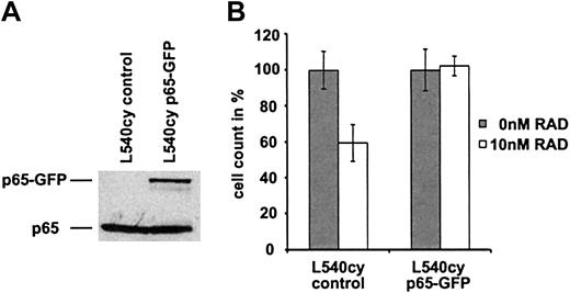 Figure 6. Overexpression of NF-κB-p65 protects L540cy cells from RAD-induced cell-cycle arrest in G0/G1. (A) L540cy cells were transfected with a p65-GFP expression construct or with control (pcDNA3) and EGFP-expressing (pEGFP-N3) constructs. At 24 hours after transfection, whole cell extracts were analyzed by Western blotting for the expression of p65-GFP and endogenous p65 using a p65-specific antibody. (B) L540cy cells were transfected with a p65-GFP expression construct or with pcDNA3 and pEGFP-N3 constructs. At 6 hours after transfection, cells were incubated with 0 nM and 10 nM RAD for 24 hours. RAD-treated and untreated cells were counted and counts of untreated cells were set arbitrarily at 100%. Cell counts are given as the mean of 3 independent experiments. Error bars indicate SD.