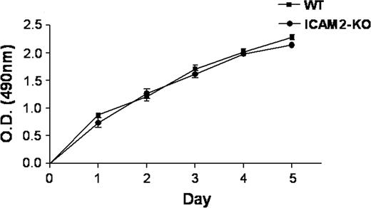 Figure 5. ICAM-2 does not affect endothelial cell proliferation. Cell proliferation was measured over 5 days on WT and ICAM-2–/– MCECs plated onto collagen-coated 96-well tissue culture using the MTT assay. No difference in the proliferation rate of MCECs was observed in the ICAM-2–deficient cells. Data are presented as absorbance at optical density (OD) 490 nm (SEM ± SD of 3 replicate experiments).