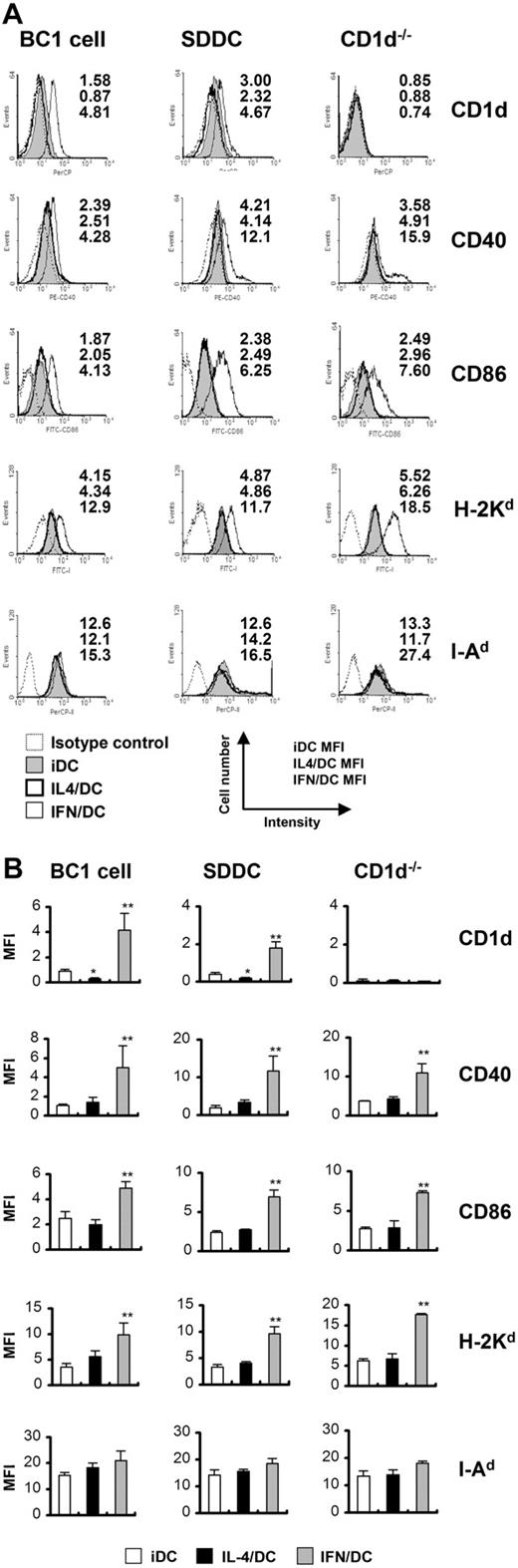 Figure 3. Expression of surface molecules on DCs treated with IFN-γ or IL-4. Expressions of CD1d, CD40, CD86, H-2Kd, and I-Ad on iDCs, IFN/DCs, or IL-4/DCs derived from BC1 cells and SDDCs (WT or CD1d-/-) were analyzed by flow cytometry. (A) Representative histogram of each molecule on iDCs, IFN/DCs, or IL-4/DCs. Mean fluorescence intensity (MFI) of each histogram is shown at upper right of the each panel. (B) Each column represents the mean ± SE of 3 independent experiments. MFI subtracted from the level of isotype-matched control Ig is shown. Statistical significance was calculated by Student t test (*P < .05; **P < .01 vs iDCs).