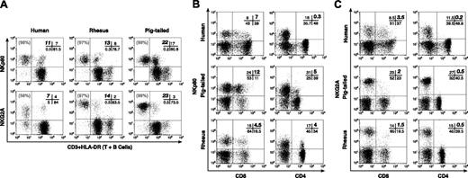 Figure 2. Phenotypic analysis of NKp80 and NKG2A. Representative examples of double-color flow cytometric analysis within the lymphocyte compartment of PBMCs. (A) Cross-reactivity of mAbs specific to human NKp80 (top row) and NKG2A (bottom row) along with anti-CD3 and anti-HLA-DR mAbs in a human donor (left column), and in rhesus (middle column) and pigtailed (right column) macaques. The cells with the brightest mean fluorescence intensity in the lower right quadrant of each rhesus and pigtailed monkey dot plot corresponded to the HLA-DRpos (or CD20pos) lymphocyte subset that identified the B-cell population. The absolute percentage of CD3neg/HLA-DRneg (NK) lymphocytes positive for the relevant receptor is highlighted in bold in the upper left quadrant of the cross bar in the upper right quadrant of each dot plot. The relative percentage of total CD3neg/HLA-DRneg (NK) population positive for NKp80 and NKG2A is indicated in gray in the upper left quadrant of each dot plot. (B-C) Percentage (highlighted in bold in upper right quadrant of the cross bar in the upper right quadrant of each dot plot) of FITC-labeled CD8+ T cells (left column) and FITC-labeled CD4+ T cells (right column) positive for NKp80 (B) and NKG2A (C) in humans (top row), and in pigtailed (middle row) and rhesus (bottom row) macaques.