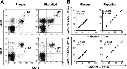 Figure 3. Phenotypic analysis of NKp80 and NKG2A. (A) Representative examples of double-color flow cytometric analysis within the lymphocyte compartment of PBMCs. mAbs specific to human NKp80 (top row) and NKG2A (bottom row) along with anti-CD16 mAb in rhesus (left column) and pigtailed (right column) macaques. The percentage of NKp80pos/CD16pos and NKG2Apos/CD16pos cell subsets are highlighted in bold in the upper right quadrant of the cross bar in the upper right quadrant of each dot plot. Of note, in each rhesus and pigtailed macaque whose flow cytometric analyses were chosen as representative examples of all animals studied, the percentage of total CD3neg/HLA-DRneg (NK) cells shown in Figure 1 and Figure 2A exactly matched with the NKp80pos/CD16pos (top row), NKG2Apos/CD16pos (bottom row) lymphocyte subsets shown in Figure 3. (B) Graphs showing the ratios of the reactivity of anti-human NKp80 (top row) and NKG2A (bottom row) mAbs that cross-reacted with CD3neg/HLA-DRneg versus CD16pos (NK) lymphocytes in rhesus (left column) and pigtailed (right column) macaques.