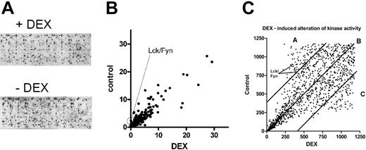 Figure 2. Kinome analysis of rapid effects of DEX in activated CD4+ T cells. (A) Peptide micro arrays (PepChip) incubated with lysates of activated CD4+ T cells treated with or without DEX. (B) Dot plot representing the phosphorylation status of specific peptide substrates spotted on the PepChip array. Differential kinase activities in lysates from activated cells incubated in the presence or absence of DEX using median densities of the spots are shown. Each spot represents the amount of phosphorylation of a specific peptide substrate. Lck/Fyn kinase consensus substrates demonstrated significantly decreased phosphorylation (0.32- and 0.51-fold changes) because of DEX. A full description of the substrates with significantly altered phosphorylation upon DEX treatment is provided in Figure S1. (C) The same data set was analyzed using a ranking method; each spot representing the phosphorylation status of a specific kinase pseudo-substrate. Because of the ranking method, a bisymmetric distribution is generated of peptides of which phosphorylation was either significantly increased or decreased because of DEX treatment. Peptide substrates demonstrating increased phosphorylation (corresponding with higher ranks of peptides) are reflected by an equivalent number of peptides of which phosphorylation was decreased because of DEX (lower ranks of peptides). Lck/Fyn kinase consensus substrates are marked by an arrow. Spots representing peptides of which phosphorylation is significant decreased (A), increased (C), or unaltered (B) as a result of DEX treatment are shown. DEX indicates dexamethasone.