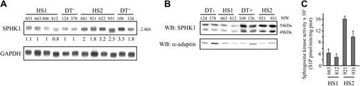 Figure 1. Transcriptional overexpression of the sphingosine kinase gene in tumorigenic HS2 cells. (A) Poly A+ RNA was isolated from the indicated spleen from diseased spi-1-transgenic mice. Northern blot was carried out using a SPHK1 cDNA probe. As a control of RNA loading, the same filter was stripped and rehybridized with a glyceraldehyde-3-phosphate dehydrogenase (GAPDH) probe.28 The hybridized filter was exposed in a phosphorimager (Molecular Dynamics, Bondoufle, France) and the resulting signal quantified using the ImageQuant software package. Values are normalized against GAPDH expression. Basal message level is 1 in 663 HS1 cells. (B) Expression of SPHK1 in HS2 cells. Whole-cell extracts were subjected to Western blot analysis (WB) with antibodies against SPHK1 protein and α-adaptin as loading control. (C) Sphingosine kinase activity of SPHK1 in HS1 and HS2 cells was measured on cell lysates from 663 and 812 HS1 and 606 and 921 HS2 cells as described in “Materials and methods.” Data are means ± SD of duplicated samples in 3 independent experiments.