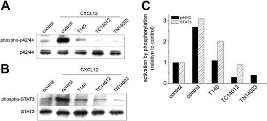 Figure 3. T140, TC14012, and TN14003 inhibit CXCL12-induced p42/44 MAPK activation and STAT3 serine phosphorylation. Cells were preincubated with 100 μg/mL T140, TC14012, and TN14003 for 30 minutes before stimulation with 200 ng/mL CXCL12 for 10 minutes. (A) Western blot analysis was performed on cell lysates with anti-phospho-p42/44 (top blot) and anti-p42/44 (bottom blot) antibodies. The blot shows representative results from 1 of 5 experiments with CLL B cells from different patients. (B) Western blot analysis was performed on cytosolic fractions with an antibody specific for serine phosphorylation of STAT3 (top blot). The bottom blot shows the membrane reprobed with an anti-STAT3 antibody. (C) Densitometry of the Western blots confirmed the reduction in p42/44 MAPK and STAT3 activation by preincubation with CXCR4 antagonists. Bars represent the phosphorylation of p42/44 MAPK and STAT3, as displayed in panels A and B after analysis by densitometry relative to the unstimulated controls (left-hand block).