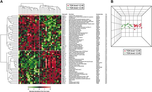 Figure 2. Clustering of genes associated with intracellular concentrations of TGN in leukemia cells of patients treated with MP alone. (A) Hierarchical clustering of 33 ALL patients using 60 gene probe sets significantly associated with TGN accumulation in ALL cells after treatment with MP alone. Each row represents a probe set and each column a patient. Standardized expression values are shown according to the scale. Red and green symbols indicate patients with TGN concentrations higher and lower than 2.46 pmol/5 × 106 cells, respectively. Listed are the Affymetrix probe set IDs, gene names, GenBank accession numbers, and coefficients of correlation (rho). A positive rho indicates a positive correlation, and a negative rho indicates negative correlation between gene expression and intracellular TGN concentration. (B) PCA of ALL cells with high (red) and low (green) TGN concentrations based on the selected probe sets. Similarities are visualized in 3-dimensional space.