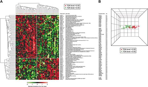 Figure 3. Hierarchical clustering using genes associated with intracellular concentrations of TGN in ALL cells of patients treated with MP + MTX. (A) Hierarchical clustering of 49 ALL patients using 75 probe sets significantly associated with TGN accumulation in ALL cells after treatment with MTX + MP. Each row represents a probe set and each column a patient. Standardized expression values are shown according to the scale. Red symbols depict patients with TGN concentrations greater than 0.55 pmol/5 × 106 cells, and green symbols depict those with concentrations less than 0.55 pmol/5 × 106 cells. Listed are the Affymetrix probe set IDs, gene names, GenBank accession numbers, and coefficients of correlation (rho). A positive rho indicates a positive correlation, and a negative rho indicates a negative correlation between gene expression and intracellular TGN concentration. (B) PCA of ALL cells with high (red) and low (green) TGN concentration based on the selected probe sets. Similarities are visualized in 3-dimensional space.
