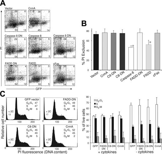 Figure 6. Inhibition of colony formation by FLAG-CrmA, FLAG–caspase-8–DN, and FLAG–FADD-DN does not appear to be due to induction of cell death. Fetal liver cells from E14 C57BL/6 embryos were infected with retroviruses encoding GFP alone, FLAG-CrmA, FLAG–caspase-8–DN, FLAG–caspase-9–DN, FLAG–FADD-DN, or FLAG-cFas for 48 hours in the presence of IL-6, mSCF, TPO, and FlkL. (A) After 2 days, viability of transfected (GFP+) cells was assessed by PI staining and FACS analysis. As a control to document that induction of apoptosis can be detected using this procedure, cells were infected with retroviruses encoding wt FLAG-FADD (52% ± 9% viability) or FLAG–caspase-8 (46% ± 3% viability). Numbers in quadrants represent percentages of cells within each staining profile. (B) Summary of cell-viability data representing means ± SDs from 3 to 6 separate experiments for each of the expression vectors. *P < .05. (C) Cell-cycle distribution of transfected (GFP+) cells was determined by staining fixed and permeabilized cells with PI. Data represent means ± SDs from 3 to 6 separate experiments for each of the expression vectors.