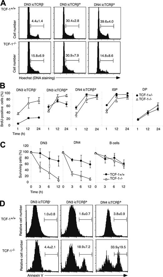 Figure 2. Cycling, turnover, and survival of TCF-1-deficient DN cells. (A) Thymocytes were stained with a lin cocktail, including CD44, for CD25, and icTCRβ. Histograms show the relative DNA content among the indicated DN subsets, as determined by Hoechst staining. Numbers represent the mean of cells in S/G2/M phase of the cell cycle (± SD). Of note, TCF-1-deficient thymocytes yield a normal Hoechst profile and no apparent underrepresentation of cells in G2/M phase when Hoechst staining is performed in the absence of icTCRβ staining (data not shown). (B) Mice were injected intraperitoneally with the nucleotide analog BrdU and put on drinking water containing BrdU. Thymocytes were collected at the indicated time points and stained with antibodies to CD4, CD8, TCRβ, and BrdU or the lineage cocktail (including CD44), CD25, icTCRβ, and BrdU. The graph depicts the mean percentage (± SD) of BrdU+ cells in the indicated thymocyte subset. (C) Total thymocytes were incubated for the indicated periods of time in complete culture medium (without the addition of growth factors). After collection they were stained with antibodies to the lineage cocktail, CD44 and CD25. For each time point, the presence of viable DN3 or DN4 was estimated relative to a fixed number of added microspheres. The ratio of DN3 or (DN4) to beads at the onset of the culture was set to 100%. The graphs show the mean percentage (± SD) of surviving cells relative to the onset of the culture. (D) Thymocytes were surface stained for CD25, the lin cocktail (including CD44), and annexin V. After fixation and permeabilization, thymocytes were stained for icTCRβ. Histograms show the mean percentage of annexin V-positive cells (± SD) in each of the indicated DN subset.