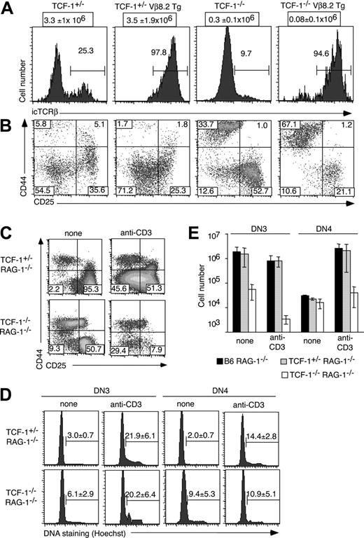 Figure 3. Thymocyte development in TCRβ Tg and RAG-1-/- TCF-1-deficient mice. (A) Histograms show the expression of icTCRβ in the DN3 subset for each of the indicated mouse strains. Numbers indicate the percentage of cells in the region defined by a horizontal bar. Absolute numbers of DN cells (± SD) are shown above each graph. (B) Density plots show thymocytes from the indicated types of mice, which were surface stained with antibodies to a lineage cocktail, CD44, and CD25. Numbers indicate the percentage of cells in the respective quadrant. (C) The indicated types of mice were injected with anti-CD3 mAb. Twenty-four hours later thymocytes were isolated and stained with the lineage cocktail plus CD44 and CD25. Numbers depict the percentage of cells in the respective quadrant. (D) Thymocytes were stained with a lin cocktail, CD44, and CD25. Histograms show the relative DNA content among the indicated DN subsets, as determined by Hoechst staining. Numbers represent the mean percentage (± SD) of cells in S/G2/M phase of the cell cycle. (E) Bar graphs show the mean of the absolute number (± SD) of DN3 and DN4 cells among lin-negative cells in mice injected with anti-CD3 or in control mice. Note that the number of cells is shown using a log scale.