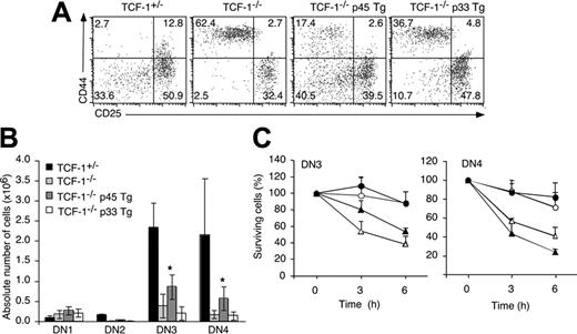 Figure 4. Pre-TCR signaling in p45 Tg TCF-1-deficient mice. (A) Thymocytes from the indicated types of mice were stained with anti-CD44 and CD25 and the lin cocktail. Numbers depict the percentage of cells in the respective quadrants. (B) Bar graphs show the mean of the absolute number (± SD) of DN1, DN2, DN3, and DN4 cells among lin-negative cells. *Statistically significant difference (P < .05) as compared with TCF-1 knockout. (C) Thymocytes derived from the indicated types of mice were cultured at 37°C in the absence of growth factors. After collection they were stained with antibodies to the lineage cocktail, CD44, and CD25. For each time point the percentage of viable DN3 and DN4 cells was determined relative to a fixed number of added microspheres. The ratio at the onset of culture was arbitrarily set to 100%. The graphs show mean (± SD) percentage of surviving DN3 and DN4 cells relative to the onset of culture. ○ indicates TCF-1+/-; ▵, TCF-1-/-; •, TCF-1-/- p45 Tg; and ▴, TCF-1-/- p33 Tg.