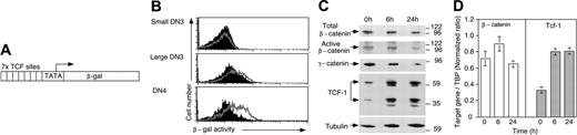 Figure 5. Regulation of TCF-1 and β-catenin levels and TCF/catenin signaling. (A) The wnt reporter transgene consists of 7 consensus TCF-binding sites upstream of a minimal promoter-TATA box, which drive the expression of β-galactosidase (β-gal). (B) Histograms show profiles reflecting β-gal activity in enriched populations of DN3 and DN4 thymocytes from BAT-GAL (gray line) and control mice (filled histograms). Small versus large DN3 cells were gated according to their forward and side scatter characteristics. (C) RAG-1-deficient mice were injected with anti-CD3ϵ mAb, and thymocytes were isolated before (0 hours) or 6 hours and 24 hours later. Total thymocyte lysates, corresponding to 106 cells per lane, were separated by sodium dodecyl sulfate-polyacrylamide gel electrophoresis (SDS-PAGE), transferred and subjected to Western blot analysis with the indicated antibodies. Molecular weight markers are indicated at right in kDa. (D) Quantitative RT-PCR analysis for β-catenin and Tcf-1 mRNA. RAG-1-deficient mice were injected with anti-CD3ϵ mAb, mRNA was isolated at the indicated time points and subjected to quantitative PCR (qPCR) analysis. Tcf-1 and β-catenin mRNA levels are indicated relative to that of TBP (TATA-binding protein) as described in “Materials and methods.” Bars show the mean ratio ± SD of triplicate determinations.