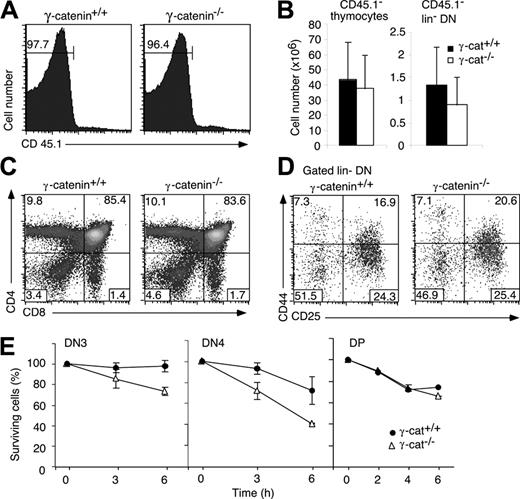 Figure 6. T-cell development in the absence of γ-catenin. (A) Histograms show thymocytes derived from lethally irradiated adult CD45.1+ recipient mice, which were reconstituted with CD45.2+ fetal liver cells of the indicated γ-catenin genotype. Numbers indicate the percentage of CD45.1- (donor-derived) cells. (B) Bar graphs represent the mean (± SD) of the absolute number of CD45.1- total and lin- thymocytes of 5 chimeras. Dot plots show CD45.1- thymocytes stained with CD4 and CD8 (C) or with the lineage cocktail, CD44 and CD25 (D). Numbers indicate the percentage of cells in the respective quadrants. (E) Total thymocytes were incubated for the indicated periods of time in complete culture medium (without the addition of growth factors). After collection, the cells were stained with the lineage cocktail, including CD45.1, plus CD44 and CD25 or plus CD4 and CD8. For each time point, the presence of viable DN3, DN4, or DP cells was estimated relative to a fixed number of added microspheres. The ratio at the onset of the culture was set to 100%. The graphs show the mean percentage (± SD) of surviving cells relative to the onset of the culture (100%).
