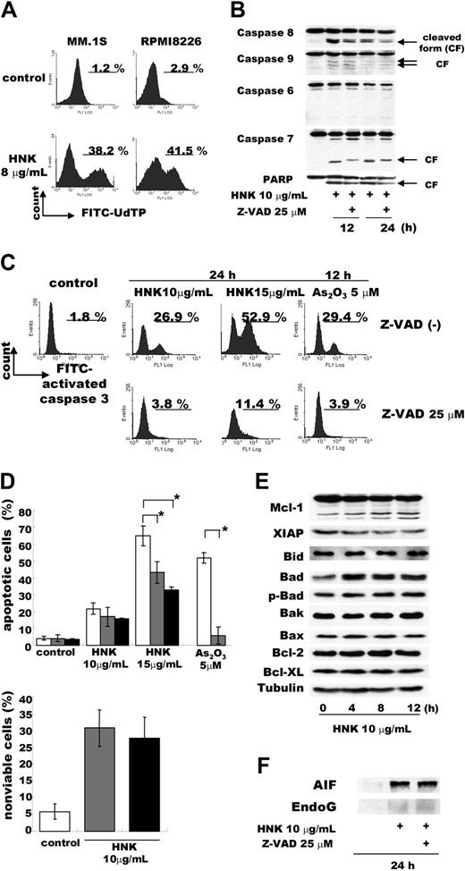 Figure 2. HNK induces apoptosis in MM cells. (A) MM.1S and RPMI 8226 cells were treated with 8 μg/mL HNK for 48 hours, and apoptosis was assessed using TUNEL assay. (B) Cleavage of caspases and PARP was determined by Western blotting of MM.1S whole-cell lysates after 10 μg/mL HNK treatment for 12 hours and 24 hours, with or without z-VAD-fmk (25 μM) preincubation for 1.5 hours. (C) MM.1S cells were treated with HNK or As2O3, with or without 25 μM z-VAD-fmk pretreatment for 1.5 hours. Activation of caspase 3 was determined by flow cytometry. (D) MM cells were treated with HNK or As2O3 for 24 hours, with or without z-VAD-fmk (25 μM, 100 μM) pretreatment for 1.5 hours. Induction of apoptosis and cytotoxicity was determined by flow cytometry after APO2.7 staining and trypan blue exclusion, respectively. Values represent the mean plus or minus SD for 3 independent experiments. (E) MM.1S cells were treated with HNK (10 μg/mL for 0, 4, 8 and 12 hours). Whole-cell lysates were subjected to Western blotting to assess the expression of Bcl-2 family proteins. (F) MM.1S cells were treated with HNK (10 μg/mL for 24 hours), with or without pretreatment by z-VAD-fmk. Proteins in cytosolic fraction were subjected to immunoblotting of AIF and Endo G.