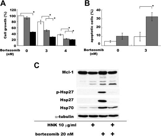 Figure 3. Combination of HNK with bortezomib enhances cytotoxicity against MM.1S cells. (A) MM.1S cells were treated with HNK and bortezomib for 48 hours and cell growth was determined by colorimetric assay. Values represent the mean plus or minus SD of triplicate cultures (*P < .05). (B) MM.1S cells were treated with HNK and bortezomib for 48 hours and induction of apoptosis was determined by APO2.7. Values represent the mean plus or minus SD of 2 independent cultures (*P < .05). (C) MM.1S cells were treated with HNK and bortezomib for 8 hours. Whole-cell lysates were subjected to Western blotting to assess phosphorylation and protein expression of Hsp27, Hsp70, and Mcl-1.