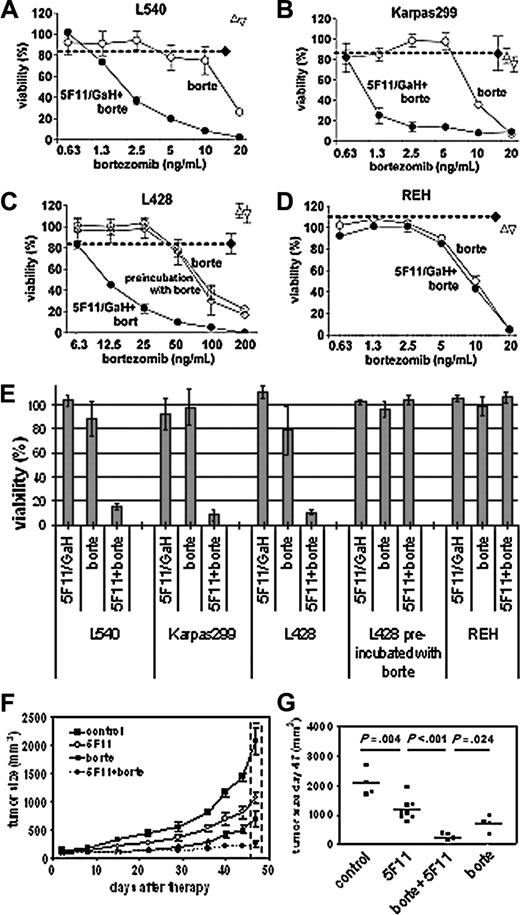 Figure 2. Cytotoxic synergy of 5F11 in combination with bortezomib. (A-D) XTT viability assays of various cell lines after 48-hour exposure to subtoxic concentrations of cross-linked 5F11 (5 μg/mL 5F11; 25 μg/mL GaH-IgG), increasing concentrations of bortezomib (○), and the combination of both (•). The cell viability after exposure to 5 μg/mL 5F11 (▵), 25 μg GaH (▿), and the same amounts of 5F11 plus GaH (♦) is indicated. The mAb 5F11 and GaH-IgG were distributed in 100-μL aliquots in 96-well plates with target cells (2 × 104; L540, Karpas299, L428, and REH), and the plates were incubated for 30 minutes before addition of bortezomib. A synergistic increase of cytotoxicity is observed for the CD30-expressing cell lines (A-C). The synergy is not seen upon preincubation with bortezomib before 5F11/GaH addition (C, ⋄) and for the CD30- cell line REH (D). Means and standard deviation of 3 independent experiments are given. (E) Depiction of the XTT data for subtoxic concentrations of cross-linked 5F11 (5F11/GaH: 5/25 μg/mL for each cell line), subtoxic concentrations of bortezomib (L540: 7.5 μg/mL; Karpas299: 2.5 μg/mL; L428: 50 μg/mL; REH: 5 μg/mL), and the combination of both. Error bars indicate mean and SD of 3 independent experiments. (F) Effect of 5F11 and bortezomib on the tumor growth of subcutaneous L540Cy Hodgkin tumors in SCID mice. One of 2 independent experiments is shown, and the standard error of the mean is given. (G) Statistical analysis of the tumor volumes measured on day 47 (see dashed box in panel F, and an independent series, each group with n = 4). The differences between 5F11, bortezomib, and the combination versus the control are significant (the P values are estimated with the paired t test using GraphPadPrism software; GraphPad Software, San Diego, CA).
