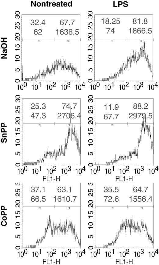 Figure 7. Induction of HO-1 inhibits the generation of ROS by LPS. Rat iBMDCs were treated with CoPP or SnPP, cultured, and incubated or not with LPS for 15 minutes. DCs were then incubated for 15 minutes with the oxidative sensitive dye CM-H2DCFDA and analyzed by cytofluorimetry. FL1-H is the log scale of fluorescence intensity. In each histogram upper numbers represent the percentage of negative (left) or positive (right) cells and the lower numbers the corresponding mean fluorescence intensity of cells. Data are representative of 3 independent experiments.