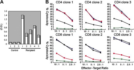 Figure 5. Functional analysis of human T and B cells developed in NOD/SCID/IL2rγnull recipients. (A) Production of OVA-specific human immunogloblins. Two weeks after immunization with OVA, sera of 5 independent recipients were sampled, and were evaluated for the concentration of OVA-specific human IgM (□) and IgG (▦) by ELISA. Sera of 3 nonimmunized NOD/SCID/IL2rγnull recipients were used as controls. O.D. indicates optical density. (B) Cytotoxic activity of human T cells generated in NOD/SCID/IL2rg-null mice. hCD4+ and hCD8+ T-cell clones derived from the recipient spleen were cocultured with allogeneic target cells (TAK-LCLs). KIN-LCLs that do not share any HLA type with effector cells or TAK-LCLs (X) were used as negative controls. Both hCD4+ and hCD8+ T-cell lines displayed cytotoxic activity against TAK-LCL in a dose-dependent manner. In hCD4+ T-cell clones, this effect was blocked by anti–HLA-DR antibodies (▴), whereas in hCD8+ T-cell clones, the effect was blocked by anti–HLA class I antibodies (▪). ♦ indicates cytotoxic response to TAK-LCLs without addition of antibodies.