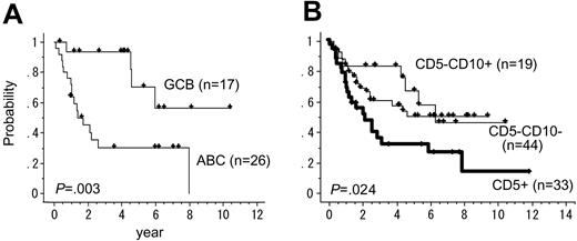 Figure 1. Kaplan-Meier analyses of different subgroups. (A) Kaplan-Meier analysis of ABC (26 cases) and GCB (17 cases) DLBCLs. (B) Kaplan-Meier analysis of CD5+ (33 cases), CD5-CD10+ (19 cases), and CD5-CD10- (44 cases) DLBCLs. The P values were obtained by a log-rank test. The overall survival of 96 cases could be analyzed. This showed that the overall survival for the CD5+ group was worse than that of the CD5-CD10+ and CD5-CD10- groups (log-rank test, P = .023). There was no significant difference in the overall survival between the CD5-CD10- and the CD5-CD10+ groups (log-rank test, P = .504). Expression profiling was performed for 46 cases, 43 of which could be analyzed for overall survival. This indicated that the overall survival for the ABC group was worse than that of the GCB group (P = .003).