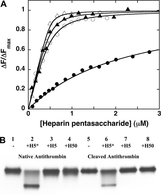 Figure 1. High-affinity pentasaccharide forms a complex with cleaved antithrombin. (A) Fluorescence titrations of 0.5 μM native (▴ and ▵) or cleaved (• and ○) antithrombins with natural pentasaccharide (H5) (▴ and •) or the high-affinity pentasaccharide (H5*) (▵ and ○) in the presence of 10 μM TNS monitored by TNS fluorescence changes. Fluorescence changes are expressed relative to the maximal fluorescence change at saturation obtained from nonlinear regression fits to the equilibrium binding equation (solid lines). (B) Samples of 6 μM native or cleaved antithrombin in the absence or presence of 12 μM full-length heparin (H50), natural pentasaccharide (H5), or high-affinity pentasaccharide (H5*) were subjected to 10% native PAGE and stained with Coomassie blue dye.