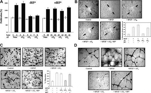 Figure 2. High-affinity pentasaccharide abrogates the inhibitory effects of cleaved antithrombin on bFGF-induced HUVEC proliferation, wound healing, migration, and capillary tube formation. Resting HUVECs were cultured in reduced serum F-12K media and treated with bFGF (10 ng/mL) and native (N), cleaved (C), or latent (L) forms of antithrombin (AT, 20-50 μg/mL) in the presence or absence of 0.25 μM high-affinity pentasaccharide (H5*) as indicated. (A) Measurements of HUVEC proliferation after 48-hour incubation by the addition of MTT reagent and measurement of absorbance at 490 nm as in previous studies.20 Cells were unstimulated (□) or stimulated with bFGF (▪) in the absence or presence of the indicated antithrombin forms. Experiments were performed both in the absence (lanes 1-8) and presence (lanes 9-16) of the high-affinity pentasaccharide. Each value represents the mean of 3 experiments ± SD in each of which quadruplicate samples were run. (B) Wound-induced migration assay using confluent resting HUVECs wounded by scratching and further cultured with bFGF and antithrombin in the presence or absence of H5* for 4 hours. Arrows indicate the original wound edge. Magnification, × 100. The mean ± SD number of cells that had migrated into the wound area was quantitated by counting in 3 random areas in 2 independent experiments. (C) Chemotaxis assay for the migration of HUVECs cultured with antithrombin with or without H5* toward bFGF. Migrated cells appear as elongated spindle shapes (black arrow). The circular structures represent pores in the membrane (black arrow). Magnification, × 200. The mean ± SD number of migrated cells for each condition was quantitated by counting 3 independent fields at × 100 magnification. Samples were run in quadruplicate and the results reflect 2 separate experiments. (D) Subconfluent HUVECs plated on matrigel were treated as indicated. After a 16-hour incubation at 37°C, cells were stained and photographed. Magnification × 200. Images in panels B-D were obtained with a Leica Microsystems DMLB microscope and camera (Leica, Wetzlar, Germany). A water-immersion 20 ×/0.3-0.5 NA objective lens was used.