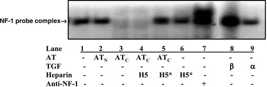 Figure 4. High-affinity pentasaccharide abolishes the effects of cleaved anti-thrombin on perlecan gene expression. Electrophoretic mobility shift assay of a 32P-labeled DNA oligonucleotide probe of the TGF-β binding element of the perlecan gene promoter after incubation with nuclear extracts obtained from resting HUVECs pretreated with native or cleaved forms of antithrombin (20 μg/mL) and bFGF (10 ng/mL) in the presence or absence of 0.25 μM natural pentasaccharide (H5) or the high-affinity pentasaccharide (H5*) for 48 hours. TGF-β1 or TGF-α (both 1 ng/mL; Sigma) was added to the cells at 4 hours before harvesting as positive and negative controls for the induction of perlecan gene expression. The identity of the NF-1–probe complex band was confirmed from the supershifting of the complex band when anti–NF-1 antibody (Santa Cruz Biotechnology, Santa Cruz, CA) was included in the incubation.