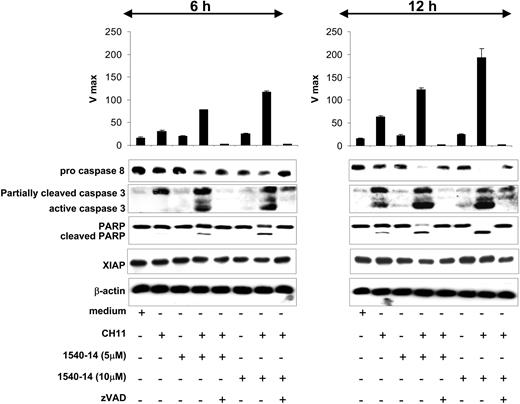 Figure 7. Activation of caspases-3 and -8 and cleavage of PARP in CD40-activated CLL cells. CLL cells were activated via CD40 ligation. Twenty-four hours later, these cells were treated without or with 1540-14 at 2 different concentrations and/or CH11, either alone or in combination, as indicated at the bottom of the figure. Incubation with the combination was done with or without the nonspecific caspase antagonist zVAD-fmk. After either 6 or 12 hours, the CLL cells were harvested and used to prepare lysates for immunoblot analysis. (Upper panel) Caspase-3 activity was detected by the addition of the DEVD substrate to 10 μg total protein lysates. The assay was performed measuring the release of fluorescent dye using a fMax spectrofluorometer plate reader (excitation at 485 nm and emission at 538 nm). Mean data are presented of 3 independent experiments ± SE. Y-axis represents the Vmax. (Lower panel) Protein lysates were prepared and normalized for total protein content. Cell lysate (15 μg) was applied to each lane of a polyacrylamide gel for immunoblot analyses with anti-caspase-8 (first row), anti-caspase-3 (second row), anti-PARP (third row), anti-XIAP (fourth row), or anti-β-actin (fifth row), as indicated on the left margin of the figure.