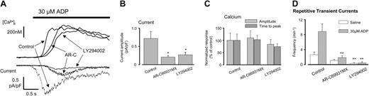Figure 5. Synergistic role for P2Y12 receptors through PI3-kinase in the activation of inward cation currents by ADP. Membrane currents and intracellular Ca2+ responses were recorded simultaneously at –70 mV in response to 30 μM ADP in control MKs (n = 9) and after exposure to the P2Y12 antagonist AR-C69931MX (1 μM; n = 8) or the PI3-kinase blocker LY294002 (30 μM; n = 5). (A) Timing of the initial ADP-evoked membrane current relative to the intracellular Ca2+ increase. (B) Average initial peak ADP-evoked currents. (C) Normalized ADP-evoked Ca2+i peak amplitude (light boxes) and time to peak (dark boxes), expressed as a percentage of control. (D) Frequency of occurrence of repetitive transient inward currents. Error bars represent SEM. *Statistical significance compared with control (saline or ADP, as appropriate) (*P < .05; **P < .01).