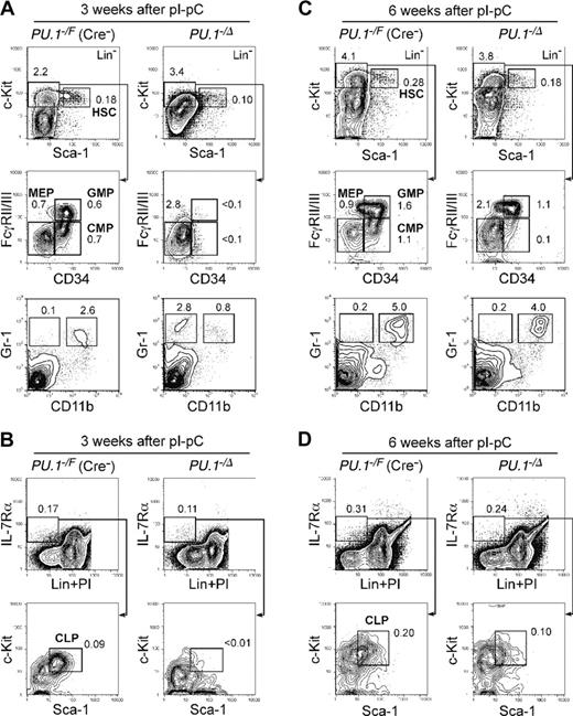 Figure 4. Conditional depletion of PU.1 in adult hematopoiesis. FACS analysis of Mx1-Cre × PU.1–/F mice 3 (A-B) and 6 (C-D) weeks after pI-pC injection. Three weeks after the injection, HSCs were decreased up to 5-fold, and CMPs and GMPs disappeared (A). At this time point, the vast majority of bone marrow cells excised loxP-flanked PU.1 alleles (not shown). Significant recovery of these cells was observed at 6 weeks (C), when the excised allele of PU.1 locus was undetectable (not shown). CLPs were eliminated 3 weeks following disruption of PU.1 (B), while they recovered at the 6-week time point (D). Numbers in each panel represent percentages of the gated population in whole bone marrow cells. Summarized data including results of pI-pC injection into Mx1-Cre × PU.1F/F mice are shown in Table 1.
