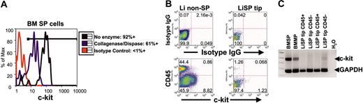Figure 5. CD45+ SP tip cells from liver (Li) are phenotypically distinct from bone marrow (BM) SP cells. (A) Effects of enzyme digestion (collagenase and dispase) on c-kit immunostaining in BM SP cells. Despite diminished intensity of c-kit surface immunostaining after enzyme digestion, 61% of BM SP cells still exhibit c-kit immunofluorescence above background. (B) After identical enzyme digestion, c-kit immunostaining is readily detected above background in CD45-Li non-SP cells and minimally detected in few CD45-LiSP cells. In contrast, no CD45+ SP tip cells from liver exhibit c-kit surface staining. IgG indicates immunoglobulin G. (C) Multiplex RT-PCR assay for c-kit and GAPDH gene expression shows no detectable c-kit mRNA in multiple sorted samples of CD45+ LiSP tip cells. In contrast, c-kit expression is easily detected in samples prepared from identical numbers of sorted BM SP and BM main population (MP). Expression of the housekeeping gene GAPDH is present in all samples. Numbers in dot plots represent percentage of cells contained in each quadrant.