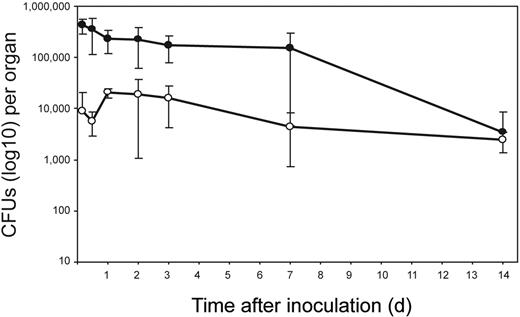 Figure 1. BCG bacilli are rapidly detected and persist in ADLNs after intradermal vaccination in the ear. BCG (106 CFUs) was inoculated into the dermis of each ear dorsum. From 4 hours to 14 days after injection, each ear (•) and ADLNs (○) were harvested and BCG multiplication was estimated by counting CFUs after plating on selective medium; data are the mean CFUs ± SD from 5 animals, that is, 10 ears and ADLNs processed individually.