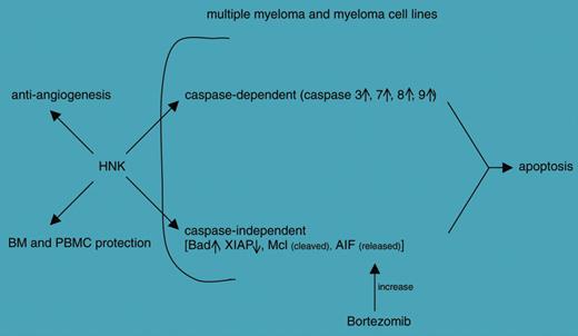 Schematic representation of the effects induced by honokiol (HNK) on different targets; see Ishitsuka et al.