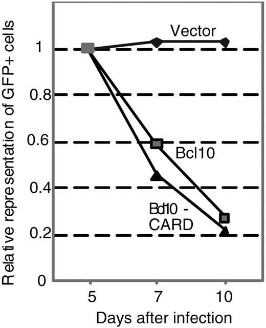 Figure 2. Growth-inhibitory effects of Bcl10 overexpression in WEHI-231 cells. WEHI-231 cells overexpressing Bcl10 rapidly lost representation in infected cultures consisting of infectants and noninfectants. Cells were infected with retroviruses coexpressing Bcl10 or its N-terminal CARD (Bcl10-CARD) and GFP via a bicistronic mRNA containing an IRES, under the transcriptional control of the CMV enhancer. The fraction of GFP+ cells in each culture was determined in triplicate by flow cytometry over a period of 10 days. For comparison purposes, the GFP+ fractions were all normalized to the fraction on day 5, when the fraction of GFP+ cells was maximal or near-maximal in each culture. Actual percentage of GFP+ cells at day 5 varied among different cultures from 3% to 25% as a result of nonidentical virus titers during infection. Diamonds indicate vector only; squares, full-length Bcl10; and triangles, Bcl10-CARD domain only.