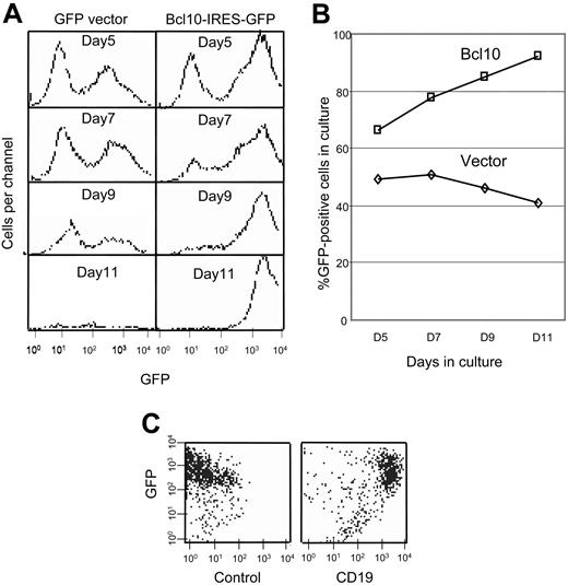 Figure 6. Bcl10 protects primary B cells from apoptosis. Primary B cells were isolated from Balb/c mouse spleens and activated for 2 days with anti-IgM, anti-CD40, and IL-4. The cells were then infected with a retrovirus encoding Bcl10-IRES-GFP or a control retrovirus expressing only GFP. After another 2 days incubation with anti-IgM, anti-CD40, and IL-4, the cells were cultured in medium without stimuli. Triplicate cultures were sampled at different times via flow cytometry (A) for GFP expression, and the percentage of positive cells was determined (B; squares indicate Bcl10-expressing retrovirus; diamonds, vector only). To confirm that the surviving cells in the Bcl10-expressing cultures were B cells, they were stained with anti-CD19 or an isotype control antibody(C).