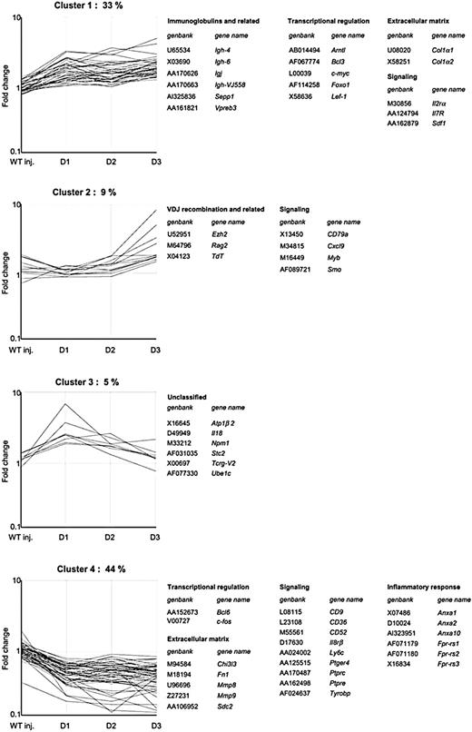 Figure 1. Clusters of genes categorized by expression patterns during BM regeneration. Transcriptional changes were monitored in transgenic mice for 3 days after GCV treatment. Using an ANOVA parametric test (Welch t test) with P < .05, 150 differentially expressed genes were identified. The vertical axis represents the normalized expression ratios. These genes were clustered in 4 groups based on their expression profiles using a QT clustering method and by functional categories using Gene Ontology database. Some representative categories are shown. VDJ indicates Ig heavy chain gene rearrangement. Unclustered gene profiles (9%) were not represented but were included in the complete gene list available in Table S1.