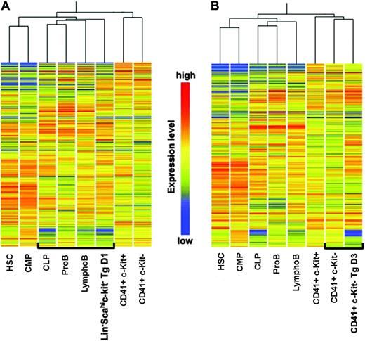 Figure 4. Hierarchical cluster analysis of gene expression patterns derived from the transgenic Lin-Sca-1hic-Kit- population and the reconstituted CD41+c-Kit- cells. Gene expression patterns of (A) transgenic Lin-Sca-1hic-Kit- (D1 after cessation of GCV treatment) and (B) reconstituted CD41+c-Kit- cells compared with the transcriptional expression profiles of different wt subpopulations, including HSC, myelomegakaryocytic cells (CMP, CD41+c-Kit+, CD41+c-Kit-) and lymphoid B cells (CLP, Pro-B, B lymphocytes). All samples were hybridized independently on cDNA microarrays against total BM of wt animals as a common reference. Hierarchical clustering analysis of the 2474 genes showing significant expression within all the populations was performed with GeneSpring software using a Spearman correlation coefficient (separation ratio, 0.9; minimum distance, 0.001) and was visualized as trees. Tree branch lengths show relative degrees of analogy among cell populations. Each population is represented by a single column, and each gene is represented by a single row. The color designates the expression level compared to that of the reference as represented on the color bar.