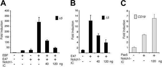 Figure 2. The ability of EBF and E47 to act synergistically on the λ5 promoter is abolished by expression of Notch1-IC. (A) The diagram shows the relative luciferase activity obtained after transiently transfecting HeLa cells with 40 ng of the λ5 reporter plasmid and 120 ng of the EBF and/or 120 ng of the E47-encoding expression plasmid, along with 40 or 120 ng of the Notch1-IC expression plasmid. (B) Graphs display the resulting relative activity of a λ5 reporter plasmid in HeLa cells after activation by ectopic expression of a forced dimer of E47 in the presence of increasing amounts of cotransfected Notch1-IC plasmid as indicated. (C) Columns representing the relative luciferase activity observed after cotransfecting 40 ng CD19 reporter construct and 200 ng Pax-5 alone, or together with 120 ng Notch1-IC, into HeLa cells. Reporter activities were normalized to the internal control pRL-0, and values obtained with 320 ng empty expression plasmid were set to 1. Data were calculated from a single representative of 3 experiments with 3 transfections. Error bars indicate SD.