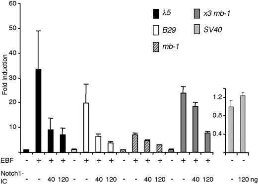 Figure 3. Ectopic expression of Notch1-IC affects the ability of EBF to activate target promoters. The luciferase data were attained by transiently transfecting HeLa cells with 40 ng of respective indicated reporter construct and either 200 ng EBF alone or EBF in combination with 40 or 120 ng Notch1-IC-encoding expression plasmid. The data are based on a single representative of 3 experiments including 3 transfections normalized to the internal control pRL-0. The reporter activities obtained with empty expression plasmid were set to 1 and error bars indicate SD.