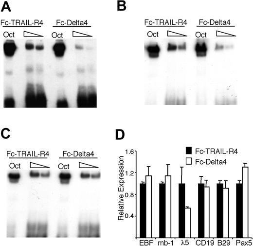Figure 6. Notch signaling induced by immobilized Delta4 ligand modulates the DNA-binding activity of EBF in 230-238 pre-B cells. (A-B) The resulting autoradiogram of an EMSA experiment where radiolabeled Oct1 protein-binding sites, (A) Cd79a promoter EBF-binding site or (B) λ5 promoter EBF-binding site, were incubated with nuclear extracts from the 230-238 pre-B cell line cultured on either Fc-TRAIL-R4- or Fc-Delta4-coated plates for 48 hours. (C) Display and EMSA results as in panel A, but here the cells were incubated in the presence of the γ-secretase inhibitor DAPT. (D) Diagrams display Q-PCR analysis from the 230-238 cells used in the EMSA. The relative mRNA expression levels of EBF, Cd79a, Pax-5, CD19, B29, and λ5. The data are based on 6 PCR experiments from 2 independent stimulation experiments. Error bars indicate SD.