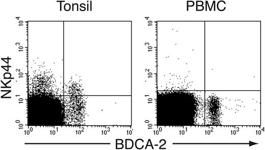 Figure 1. IPCs express NKp44 in tonsil but not in peripheral blood. Mononuclear cells were prepared from tonsils and peripheral blood and stained with mAbs against BDCA-2 and NKp44.