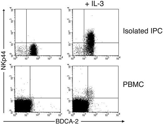 Figure 2. IL-3 induces expression of NKp44 in peripheral blood IPCs. (Top) IPCs isolated from peripheral blood were stained with mAbs against BDCA-2 and NKp44 before (left) and after (right) overnight culture in IL-3. (Bottom) Total PBMCs were cultured overnight in the absence (left) or presence (right) of IL-3 and analyzed for expression of BDCA-2 and NKp44.