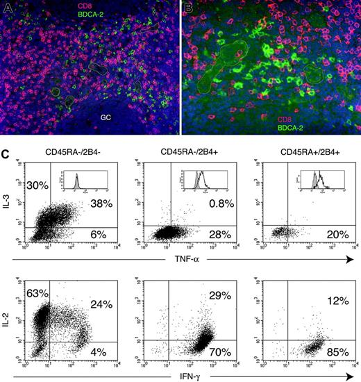 Figure 7. CD8 T cells are in close proximity of IPCs in tonsil and provide a source of IL-3. (A-B) Colocalization of CD8 T cells and IPCs in the T-cell areas of tonsil. Cryosections from tonsils were stained with anti-BDCA-2 and anti-CD8, followed by Alexa 488-conjugated and Texas Red-conjugated secondary reagents. BDCA-2 is shown in green, CD8 in red, and DAPI nuclear stain in blue. Some of the HEVs are marked by white profiles. GC indicates germinal center. (For panel A, objective was 20 × /0.50 NA; for panel B, objective was 40 × /0.75 NA). (C) CD8 T cells were magnetically enriched from peripheral blood and sorted into CD45RA-/2B4- central memory cells (left column), CD45RA-/2B4+ effector-memory cells (middle column), CD45RA+/2B4+ effector cells (right column), and CD45RA+/2B4- naive cells (not shown). Cytokine production of the sorted cell subsets was assessed by intracellular staining with anti-IL-2, IL-3, IFN-γ, and TNF-α following 6 hours of stimulation with PMA and ionomycin. Percentages of cytokine-secreting cells are indicated in each quadrant. Inserts in top panel represents fluorescence-activated cell sorting (FACS) profiles of individual CD8 T-cell subsets after intracellular staining with an antiperforin antibody.