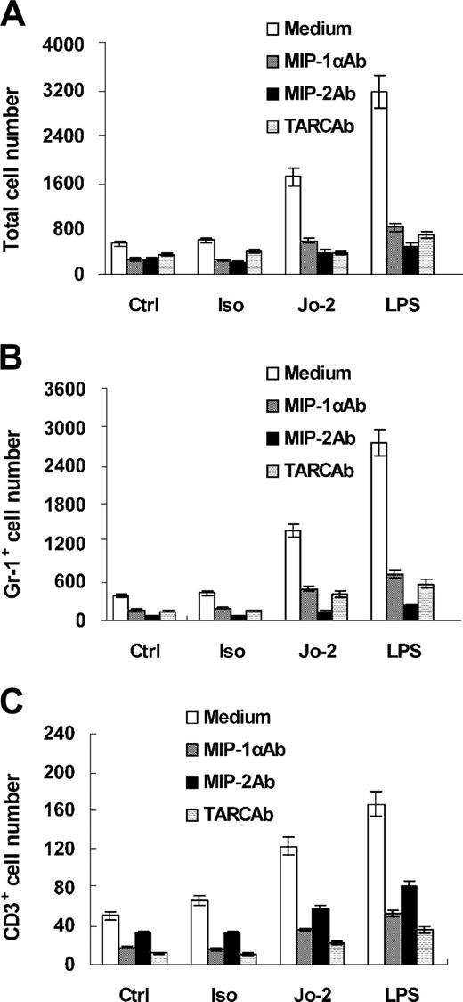 Figure 3. Roles of chemokines in attracting T cells and neutrophils. We incubated the neutralizing antibody to MIP-1α, TARC, or MIP-2 with the conditioned supernatant for 30 minutes. The supernatant was 10-fold diluted and used to chemoattract the mixed cells containing T cells stained with CD3-PE and neutrophils stained with Gr1-FITC in 3.0-μm pore sized transwell insert. After 2 hours of incubation at 37°C, the total cells (top), including Gr1-FITC neutrophils (left bottom) and CD3-PE T cells (right bottom) that had migrated into wells, were harvested and counted by FACSCalibur flow cytometer and analyzed by CellQuest software.
