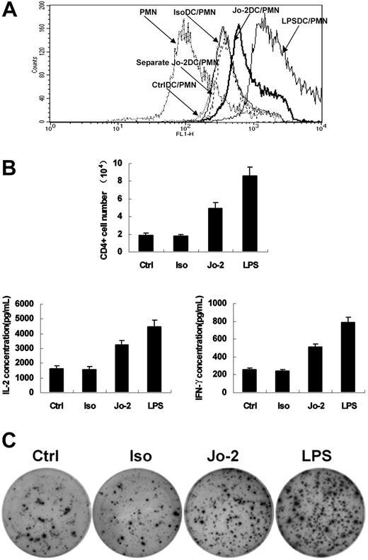 Figure 5. Fas ligation enhances endocytosis by neutrophils and activation and proliferation of antigen-specific T cells. (A) DCs that were treated with medium, Jo-2, isotype Ab, or LPS for 12 hours were incubated with neutrophils for 20 hours. For separate Jo-2 DC/PMN (polymorphonuclear neutrophil) coculture, we seeded Jo-2–treated DCs on the upper chamber, whereas neutrophils were seeded onto the bottom of a 1.0-μm pore sized transwell. Then, 2 μL Fluospheres per well was added into the coculture system, and 3 hours later the cells were collected and stained with CD11c-PE to gate CD11c- neutrophils. Cells were detected by FACS, and the FL1 fluorescence of the CD11c- cells neutrophils was analyzed. (B) Purified CD4 T cells were cocultured with DCs treated as indicated in the presence of OVA323-339 peptide at a ratio of 1:10 (DC/T) in round-bottom 96-well plates for 5 days. Then cells were collected and double stained with anti-CD4–FITC and 7-AAD and counted by FACS. Supernatants were collected at 24 hours for assay of IL-2 and IFN-γ by ELISA. (C) Purified CD4 T cells were cocultured with DCs treated as indicated in the presence of OVA323-339 peptide at a ratio of 1:10 (DC/T) in the IFN-γ ELISpot plate (3 × 104 T cells/200 μL/well) for 24hours. Then, following the manufacturer's instruction, the microplate was developed and dried in the air. Photos were taken using an Olympus 52X12 dissection microscope with a Cohu high-performance CCD camera (Cohu, San Diego, CA) and Leica QWin imaging software (Hamburg, Germany).