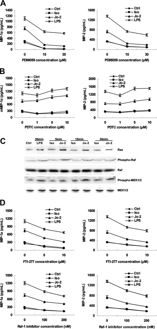 Figure 6. Phosphorylation of Ras/Raf/MEK/ERK pathway, but not activation of NF-κB, is responsible for Fas-induced chemokines production in DCs. (A-B) DCs were pretreated with different doses of PD98059 (A) or PDTC (B) for 30 minutes, then stimulated with Jo-2, isotype Ab (Iso), or LPS for 18 hours. Levels of MIP-1α and MIP-2 in supernatants were determined by ELISA. (C) Western blotting analysis of activation of Ras, Raf, and MEK1/2 in DCs in medium alone as a control (Ctrl) or stimulated with Jo-2 (Jo-2), isotype Ab(Iso), or LPS (LPS) for the indicated times. (D) DCs were pretreated with different doses of FTI-277 or Raf-1 inhibitor for 30 minutes, then stimulated with Jo-2, isotype Ab, or LPS for 18 hours. The levels of MIP-1α or MIP-2 in the supernatants were determined by ELISA.