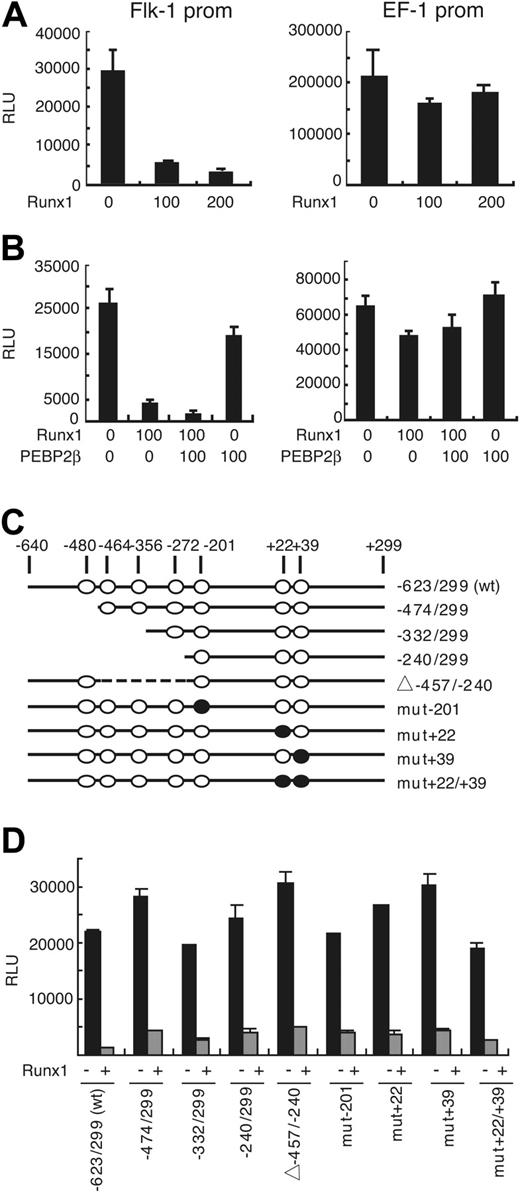 Figure 4. Runx1 down-regulates the activities of the Flk-1 promoter in BAEC. (A) The activity of luciferase reporter gene under the control of the -640 bp/+299 bp promoter fragment of mouse Flk-1 was measured in the presence of the indicated amounts (nanograms) of Runx1 expression vector (left panel). Note that luciferase activity was down-regulated in the presence of Runx1 in a dose-dependent manner, whereas luciferase activity driven by elongation factor (EF-1) promoter was not affected (right panel). (B) The repressive effect of Runx1 on the Flk-1 promoter was augmented in the presence of PEBP2β (left panel), whereas EF-1 promoter activity was not affected (right panel). (C) Putative Runx1-binding sites in the murine Flk-1 promoter and functional analysis of the promoter. (○) Putative Runx1-binding sites. (•) Binding sites mutated by PCR. (D) Activity of luciferase reporter under control of mutant Flk-1 promoters in BAECs. Results shown are representative of 3 independent experiments. RLU indicates relative light unit.