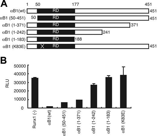 Figure 5. Analysis of Runx1 functional domains involved in the Flk-1 promoter repression. (A) Schematic illustration of the structures of full-length Runx1 (αB1), its deletion derivatives, and K83E mutants. K83E mutant has an A>G substitution in exon 3 resulting in a missense mutation. (B) Effects of Runx1 and its mutants on Flk-1 promoter activity in BAECs. Results shown are representative of 3 independent experiments. RD indicates runt domain.
