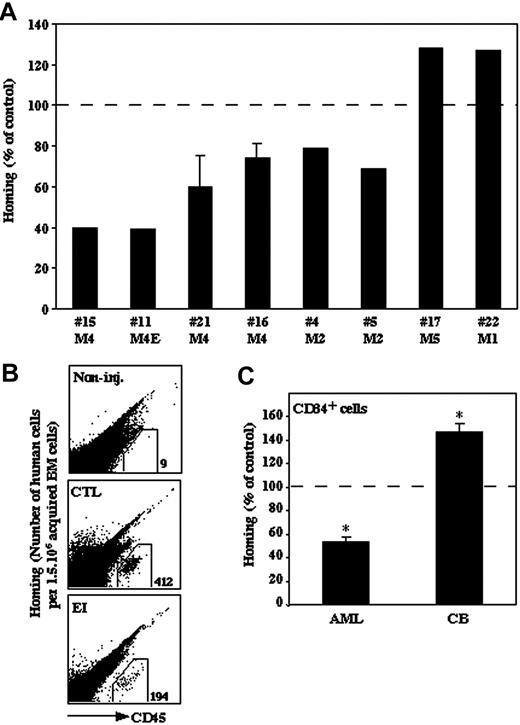 Figure 4. Effect of elastase inhibitor on the homing of AML and normal progenitor cells. Primary human AML MNCs from 8 patients, either untreated or after 30 minutes of incubation with EI (10 μg/mL), were injected into sublethally irradiated NOD/SCID/B2mnull mice. (A) Data show the percentage of human CD45+ cells present in the murine BM compared with control (100%). Statistical significance of inhibition from the 8 samples taken together was P = .05. Experiment with cells from patients no. 16 and no. 21 was done in duplicate, and results show mean ± SE. (B) Representative FACS plot. A mouse that was not injected is shown as control (non-inj.). (C) Comparison of the effect of EI (10 μg/mL) on the homing of CD34+ cells derived from normal CB and primary AML (M4E, no. 8 and M4, no. 16) cells. Data show the percentage of human CD45+ cells present in the murine BM compared with control (100%). Results are average ± SE of 3 independent experiments; *P ≤ .05.