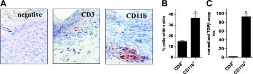 Figure 8. Characterization of TGF-β production from the cellular infiltrate in sclerodermatous skin. (A) Balb/c recipient mice underwent transplantation with 12.5 × 107 splenocytes from G-CSF-treated B10.D2 donors, as described in “Materials and methods.” Frozen sections of skin were obtained 6 weeks after SCT and were stained by immunohistochemistry with CD3 and CD11b antibodies, as outlined in “Materials and methods.” (B) Splenocytes from G-CSF-treated B10.D2 donors were transplanted into Balb/c recipients (n = 6), as described in panel A. Six weeks after SCT, animals were humanely killed and dorsal skin was prepared for FACS analysis, as described in “Materials and methods.” Percentages of CD3+ and CD11b+ cells were assessed in the CD45.2+ population. Data are expressed as mean ± SE (*P < .05). (C) CD3+ and CD11b+ cells obtained by skin digestion were FACS sorted and assayed for TGF-β by real-time PCR, as described in “Materials and methods.” Data are expressed as mean ± SE from triplicate samples (*P < .05).